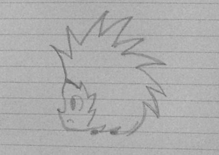 animal05.jpg, juin 2016
